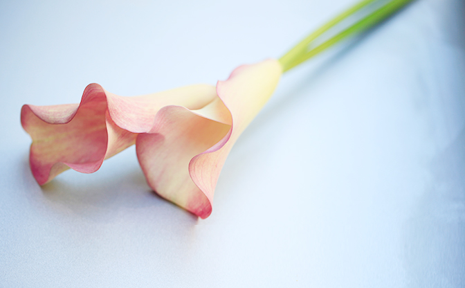 CALLA カラ