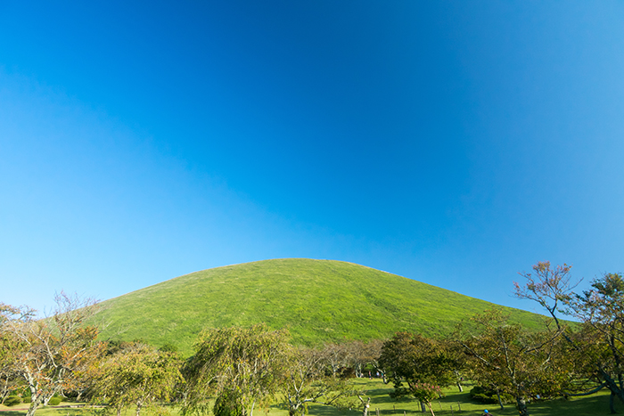 MONTE モンテ