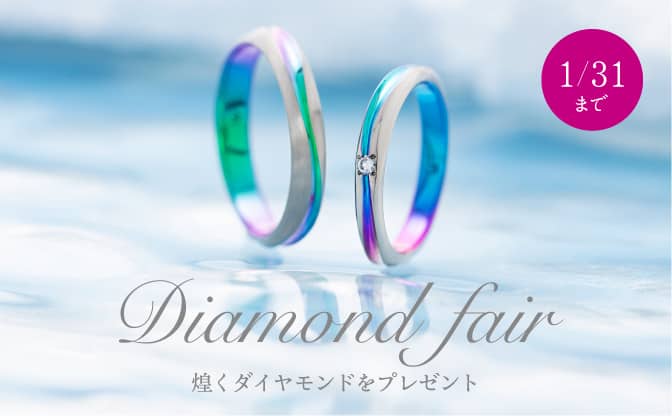 【1月31日まで限定】xmas Diamond fair
