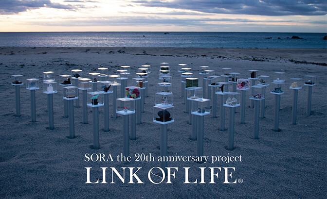 LINK OF LIFE #00