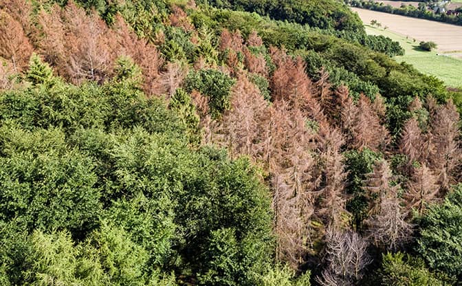 芽吹き鮮やかな春の戸隠山で感じる気候変動の足音