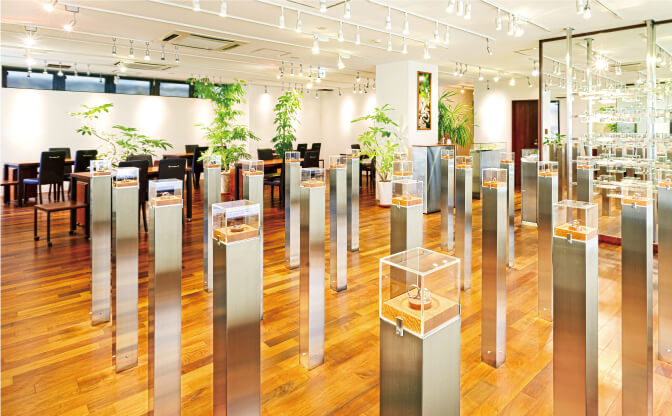 SORA表参道本店のギャラリー空間