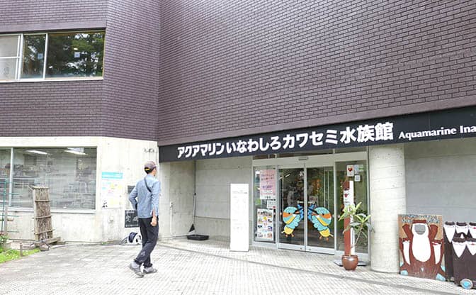 いなわしろカワセミ水族館へ入るところ