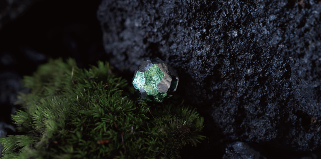 KOKE Dama 苔玉 ｜ ONLINE SHOP