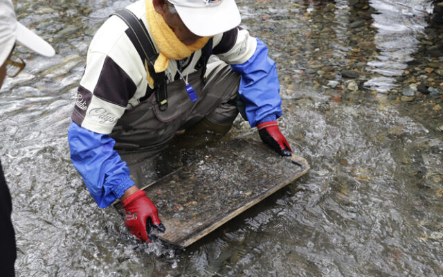 日本での砂金採掘に必要な知識と準備：砂金で指輪作り - SORA GOLD in EARTH -_07